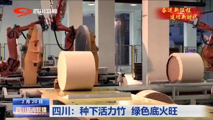种下活力竹 绿色底火旺